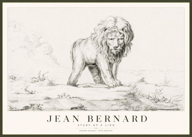 Jean Bernard Study of a Lion I No1 - Affiche