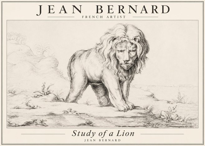 Jean Bernard Study of a Lion I No3 - Affiche