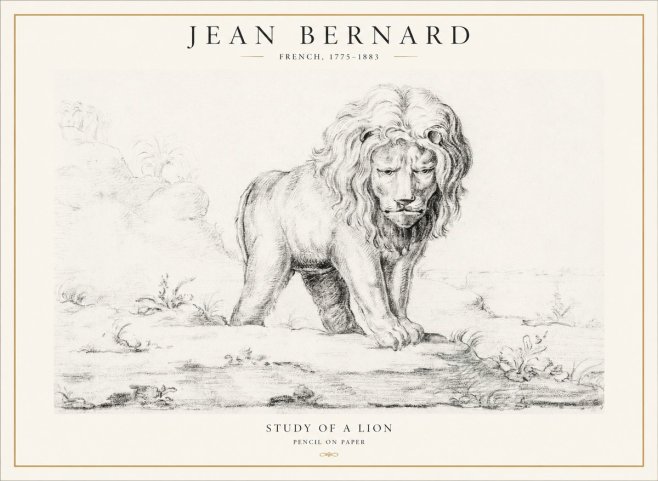 Jean Bernard Study of a Lion I No4 - Affiche