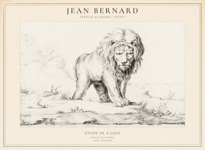 Jean Bernard Study of a Lion I No5 - Affiche