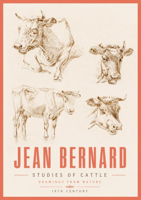 Jean Bernard Studies of Cattle II No5 - Affiche