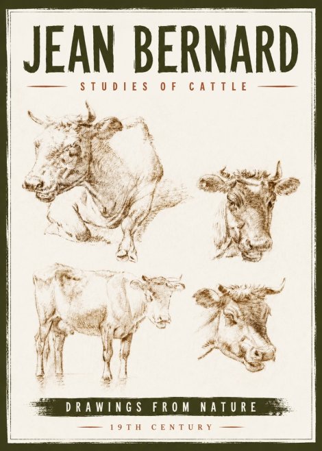 Jean Bernard Studies of Cattle II No6 - Affiche