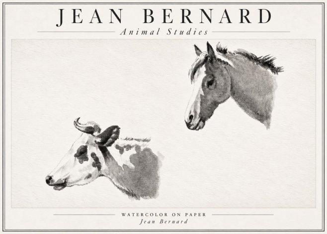 Jean Bernard Animal Studies No4 - Affiche