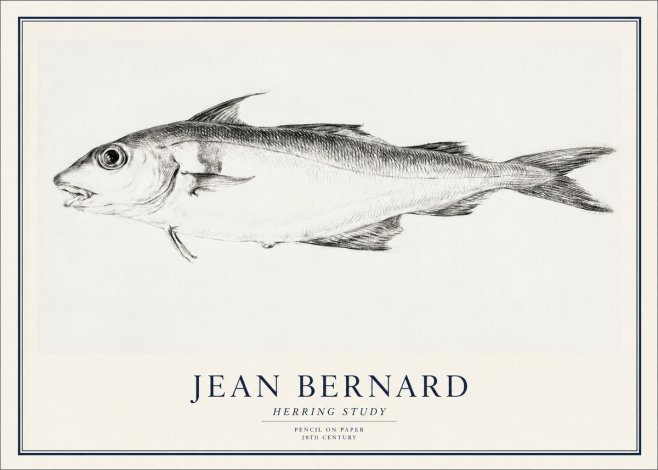 Jean Bernard Herring Study No1 - Affiche