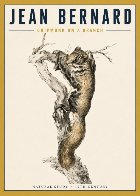 Jean Bernard Study of a Squirrel Climbing a Branch No5 - Affiche