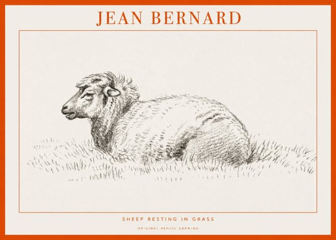 Jean Bernard Sheep Resting in Grass No1 - Affiche