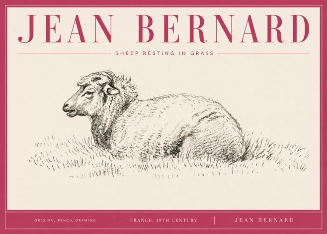 Jean Bernard Sheep Resting in Grass No4 - Affiche