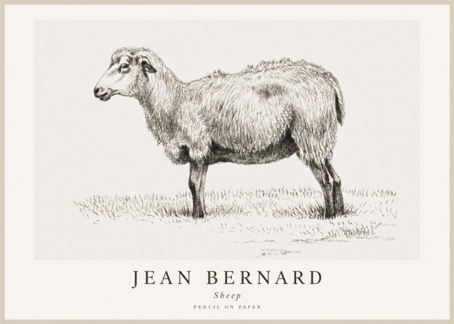 Jean Bernard Sheep No1 - Affiche