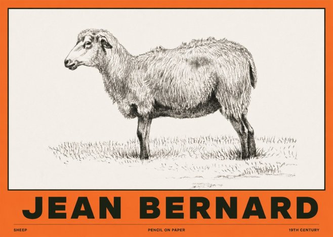 Jean Bernard Sheep No2 - Affiche