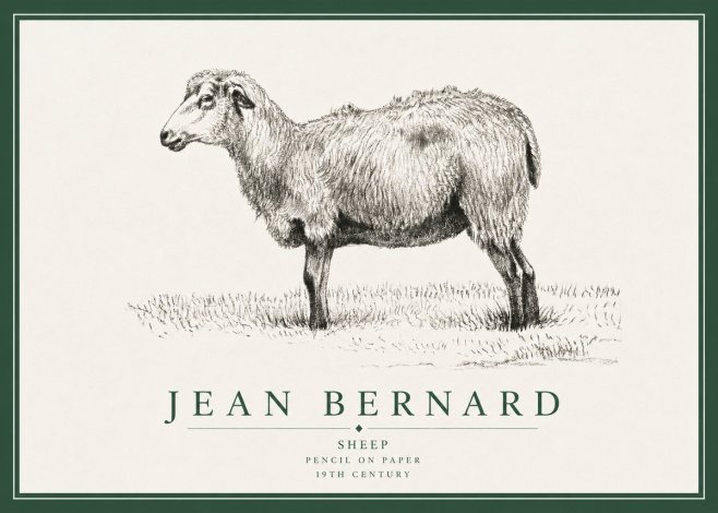 Jean Bernard Sheep No3 - Affiche
