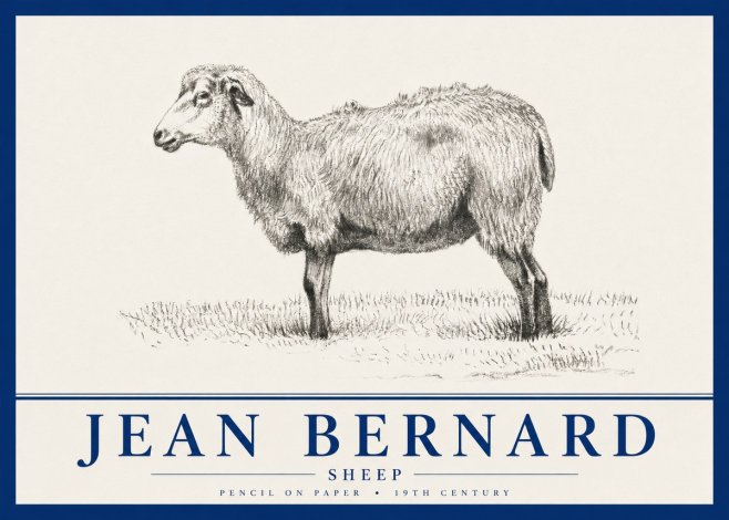 Jean Bernard Sheep No4 - Affiche