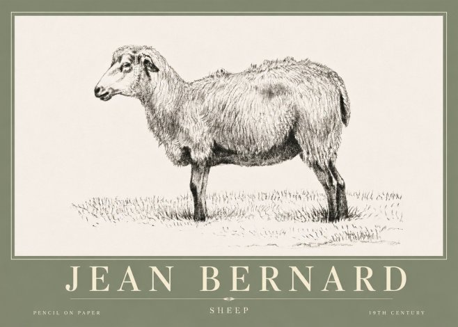 Jean Bernard Sheep No6 - Affiche