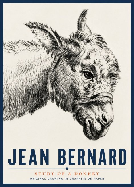 Jean Bernard Study of a Donkey I No5 - Affiche