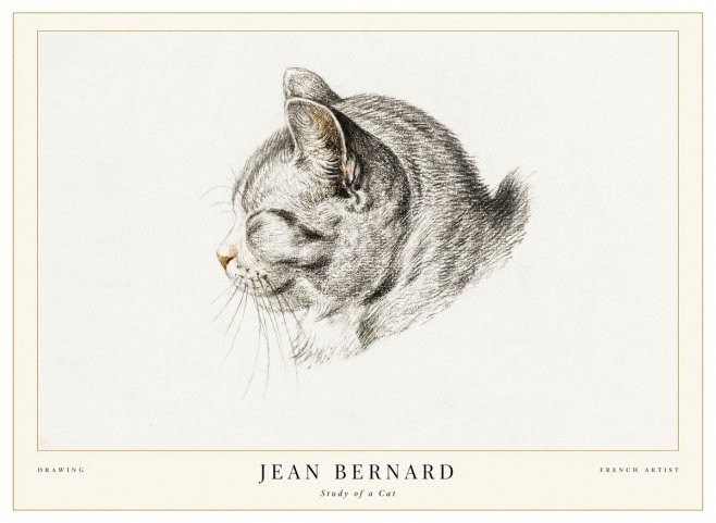 Jean Bernard Study of a Cat I No1 - Affiche