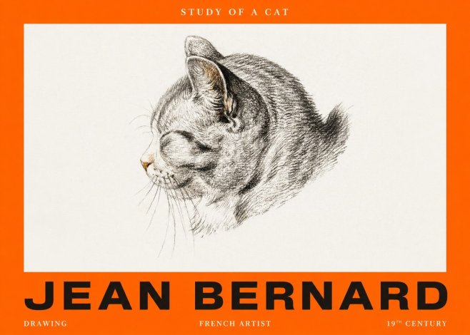 Jean Bernard Study of a Cat I No2 - Affiche