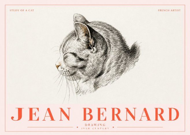 Jean Bernard Study of a Cat I No5 - Affiche