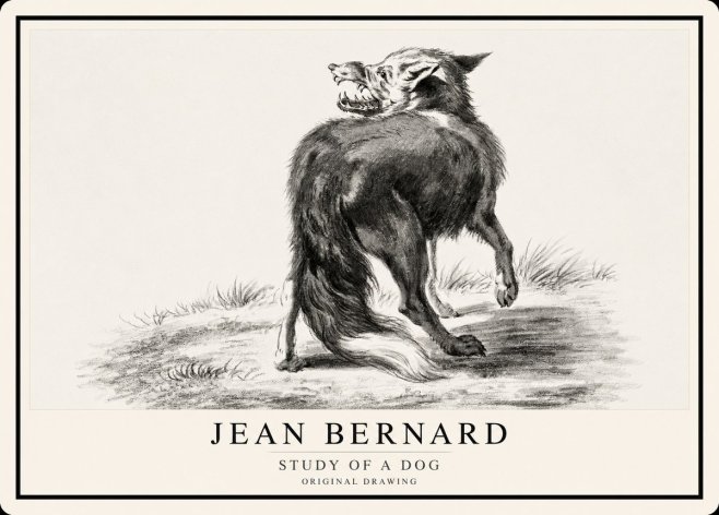 Jean Bernard Study of a Dog II No1 - Affiche