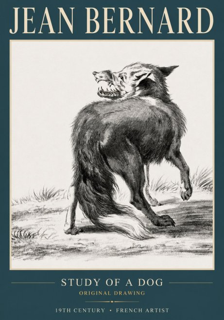 Jean Bernard Study of a Dog II No3 - Affiche
