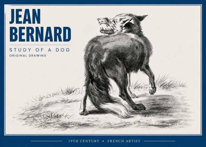 Jean Bernard Study of a Dog II No4 - Affiche
