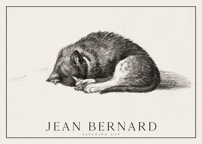 Jean Bernard Sleeping Cat III No1 - Affiche