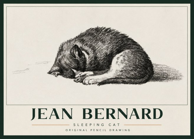 Jean Bernard Sleeping Cat III No3 - Affiche