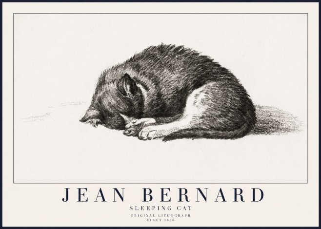 Jean Bernard Sleeping Cat III No6 - Affiche