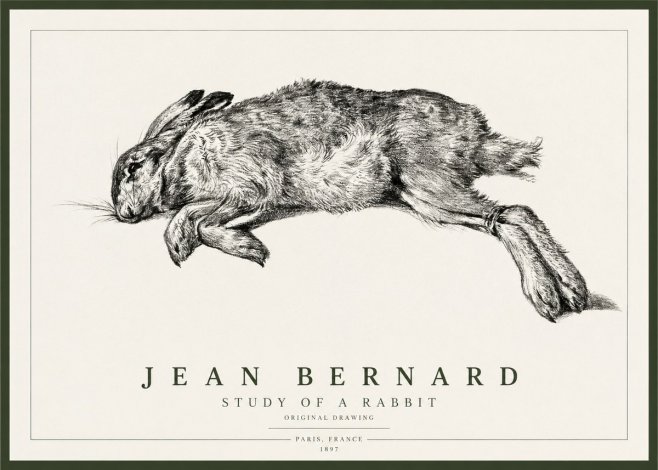 Jean Bernard Study of a Rabbit No1 - Affiche