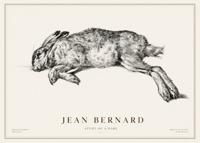 Jean Bernard Study of a Rabbit No3 - Affiche