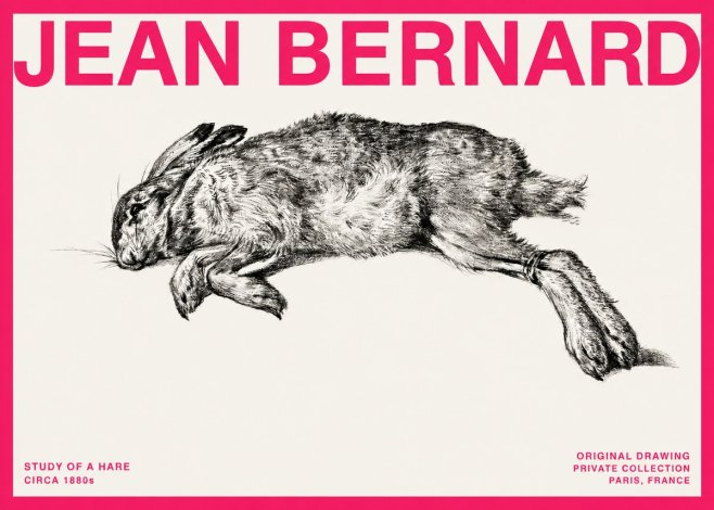 Jean Bernard Study of a Rabbit No4 - Affiche
