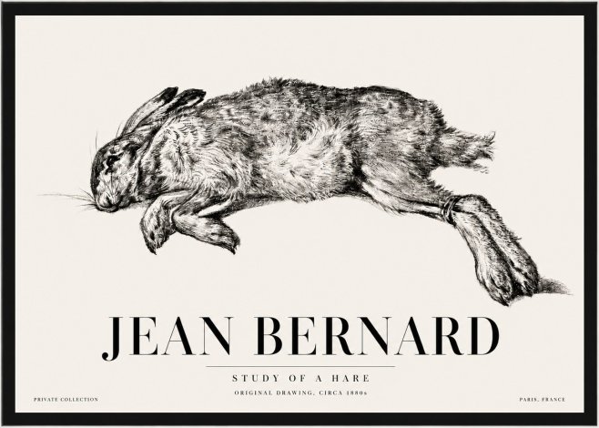 Jean Bernard Study of a Rabbit No5 - Affiche