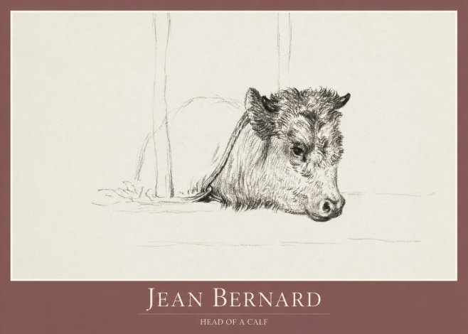 Jean Bernard Study of a Calf I No2 - Affiche