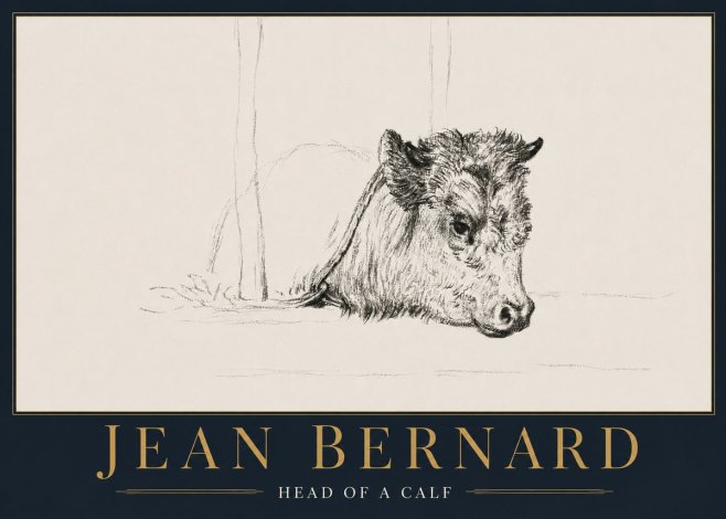Jean Bernard Study of a Calf I No5 - Affiche