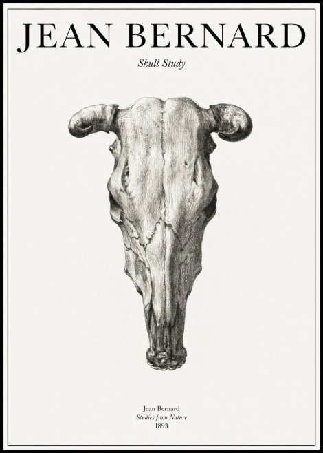 Jean Bernard Skull Study No1 - Affiche