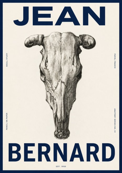 Jean Bernard Skull Study No4 - Affiche