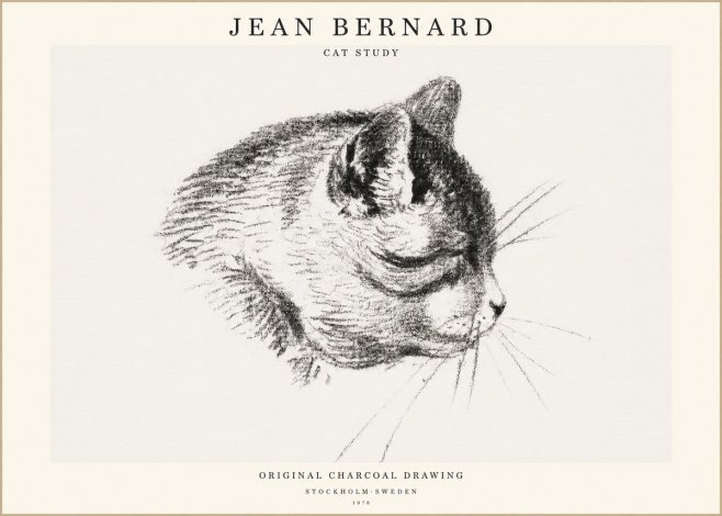 Jean Bernard Cat Study IV No1 - Affiche