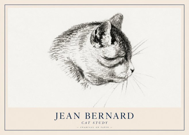 Jean Bernard Cat Study IV No2 - Affiche