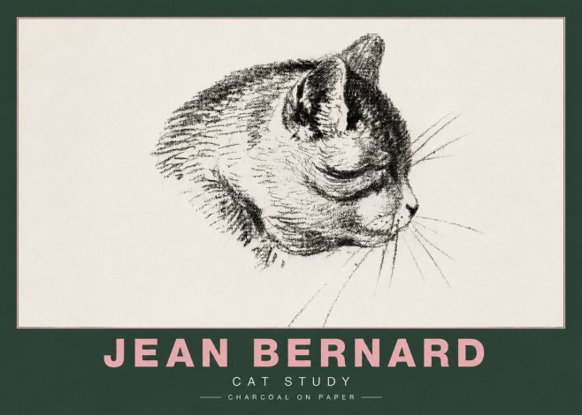 Jean Bernard Cat Study IV No4 - Affiche