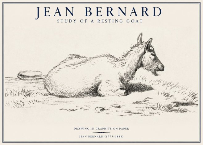 Jean Bernard Study of a Resting Goat No1 - Affiche