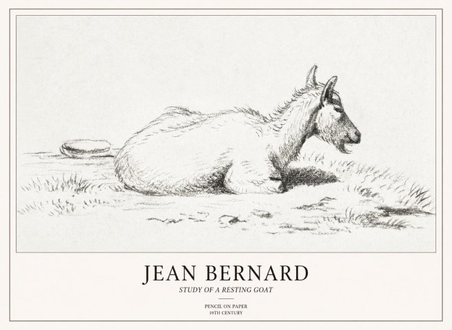 Jean Bernard Study of a Resting Goat No2 - Affiche