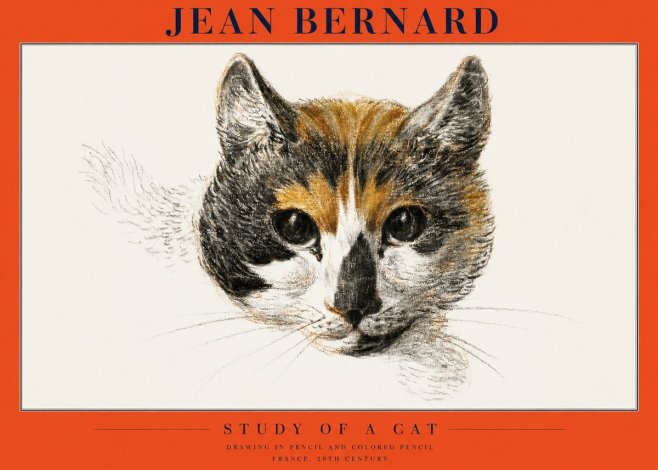 Jean Bernard Study of a Cat II No2 - Affiche