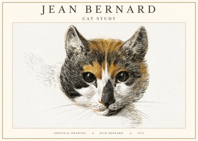 Jean Bernard Study of a Cat II No3 - Affiche