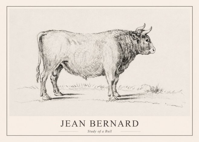 Jean Bernard Study of a Bull I No1 - Affiche