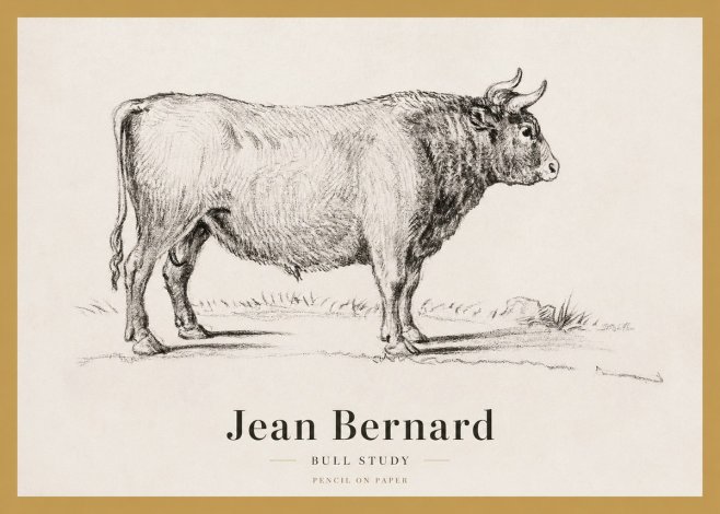 Jean Bernard Study of a Bull I No4 - Affiche
