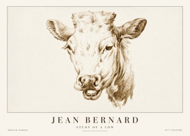 Jean Bernard Study of a Cow IV No2 - Affiche