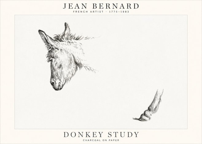Jean Bernard Study of a Donkey II No2 - Affiche