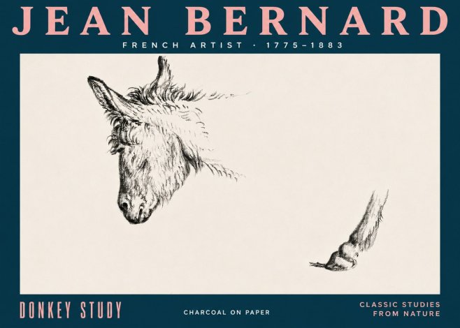 Jean Bernard Study of a Donkey II No5 - Affiche