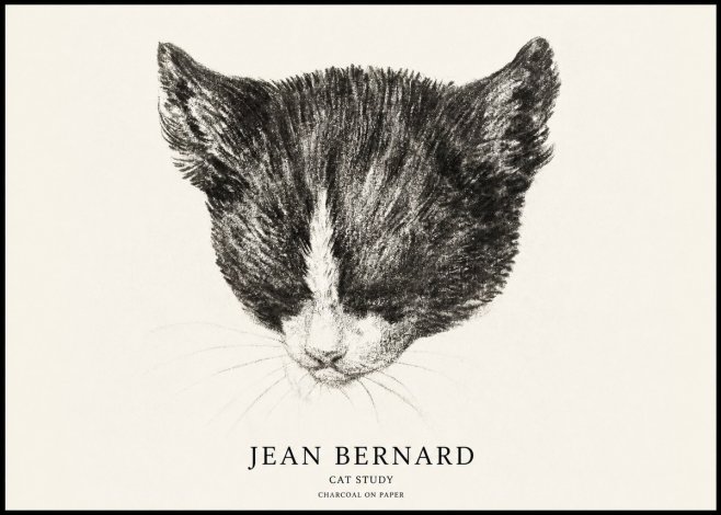 Jean Bernard Cat Study V No1 - Affiche