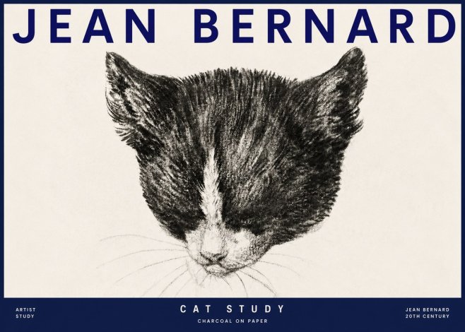Jean Bernard Cat Study V No3 - Affiche
