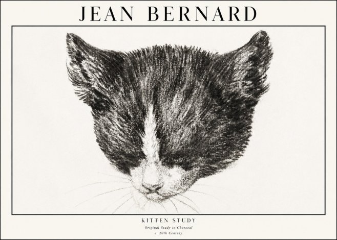 Jean Bernard Cat Study V No4 - Affiche