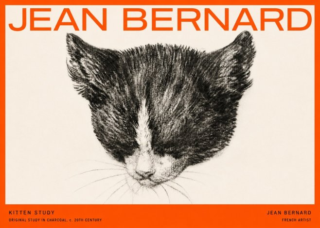 Jean Bernard Cat Study V No5 - Affiche